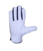 assembly-line-gloves.a