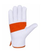 Orange Goat Grain Leather Driver Gloves Front View