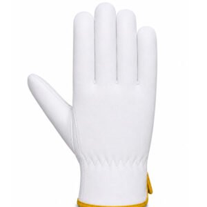 Back view of sheep grain leather wing thumb driver gloves with elastic wrist