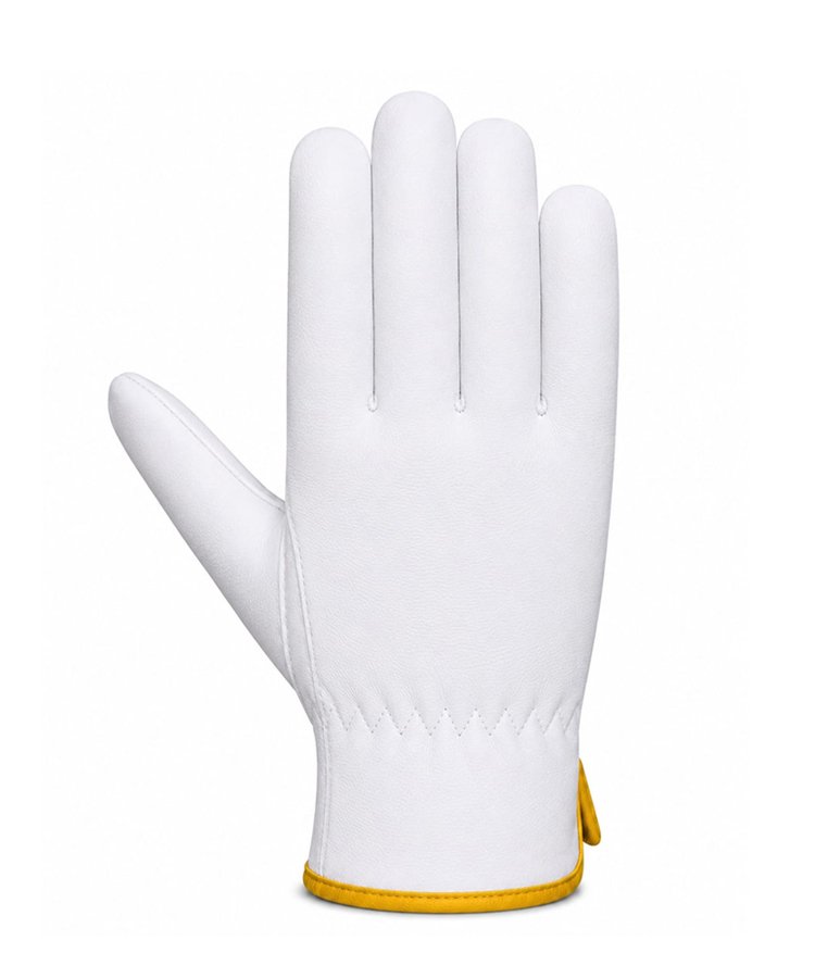 Sheep Grain Leather Wing Thumb Driver Gloves Back View Back view of sheep grain leather wing thumb driver gloves with elastic wrist