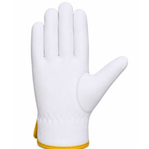Front view of sheep grain leather wing thumb driver gloves with smooth leather palm